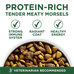 Purina ONE Plus Small Breed Lamb and Rice Formula Dry Dog Food 7.4 lb. Bag