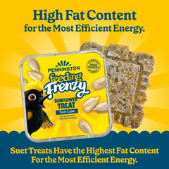 (12 pack) Pennington Feeding Frenzy Sunflower Suet Treat Cake 11 oz, Wild Bird Food, Suet Cakes for Wild Birds, 1 Pack, Fresh