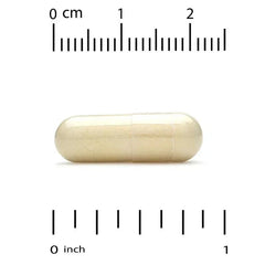 Super Nutrition, Vein Support with Diosmin, Butcher's Broom, Horse Chestnut, Bioflavonoids and Enzymes, 250 Veggie Capsules