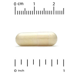 Super Nutrition, Joint Support with Olive Extract, Rutin, Boswellia Extract, and Ginger Extract, 60 Veggie Capsules
