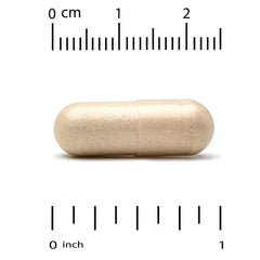 Super Nutrition, Immune Support with Arabinogalactan, Maitake Mushroom Extract, Eleuthero Extract, and Green Tea Extract, 60 Veggie Capsules