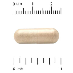 Super Nutrition, Organic Cordyceps Mushroom, 1 g, 60 Veggie Capsules (0.5 g per Capsule)