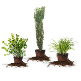 1Gal.HomeGardenCollection_8-pack - USA Mega Shop
