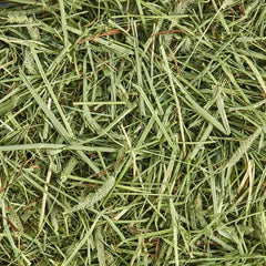 Kaytee Forti-Diet All Natural Timothy Hay , 96 ounce