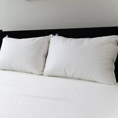 Sealy All Positions Pillow - USA MEGA SHOP