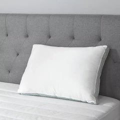 Sealy Extra Firm Support Standard/Queen Size Pillow - Striped Gusset