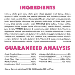Purina Beneful Originals with Natural Salmon Natural Dry Dog Food Formula with Added Vitamins, Minerals and Nutrients