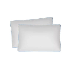 Sealy Standard/Queen Extra Firm Pillow, 2 pk. - USA MEGA SHOP