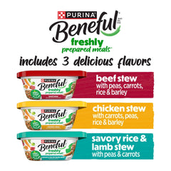 Purina Beneful Dog Food Freshly Prepared Meals Variety Pack Wet Dog Food with Gravy