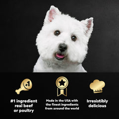 Cesar Classic Loaf In Sauce Wet Dog Food Variety Pack, 3.5 Oz Trays (36 Pack)