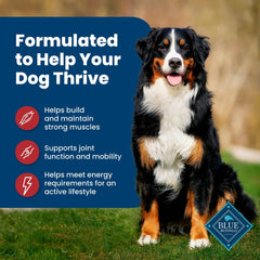 Blue Buffalo Life Protection Formula Natural Dry Dog Food, Beef & Brown Rice, 15-lb. Bag