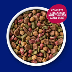 Kibbles 'n Bits Bistro Oven Roasted Beef, Vegetable & Apple Flavors Dry Dog Food - USA MEGA SHOP