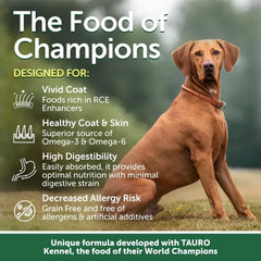 Nature's Protection Superior Care Grain Free Salmon Dry Dog Food, All Breed All Life Stages, 22 lb Bag - USA MEGA SHOP