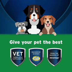 Pet Protect Digestive Health Supplement, Vet-Formulated Lactoquil, Chicken, 60 Soft Chews