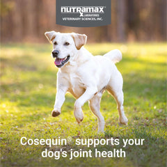 Nutramax Cosequin for Dogs Joint Health Supplement, Chewable Tablets, 60 Count