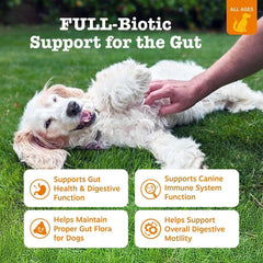 Zesty Paws Vet Strength Pre, Post & Probiotic Bites for Dogs, Dog Supplement for Gut Health, 60 Count