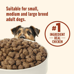 Nutrish Everyday Immune Support Chicken, Salmon, Blueberry & Pumpkin Recipe Dry Dog Food, 13lb Bag - USA MEGA SHOP