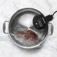 Anova Precision Cooker Nano - USA MEGA SHOP