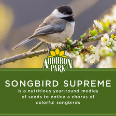 Audubon Park Songbird Supreme Wild Bird Food, Dry, 1 Count per Pack, 15 lbs. - USA MEGA SHOP