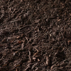Black Kow All-Natural Cow Manure Plant Fertilizer, 1CF