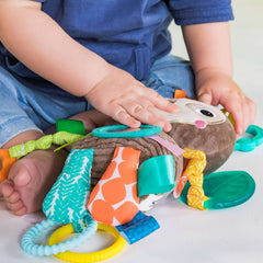 Bright Starts Playful Pals Take-Along Activity Toy - Sloth, Ages Newborn +