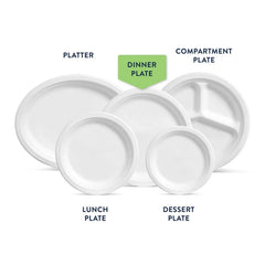 Chinet Classic 10.375" Dinner Plates, 165 ct.
