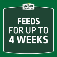 Expert Gardener Ready to Spray Lawn Food, 22-0-3 Fertilizer, 32 oz. Liquid