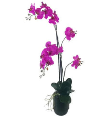 LCG Florals 30" Orchid in Black Ceramic Pot (Select Color)