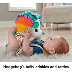 Fisher-Price Cuddle n' Snuggle Hedgehog Newborn Plush Sensory Toy with Sensory Details for Babies
