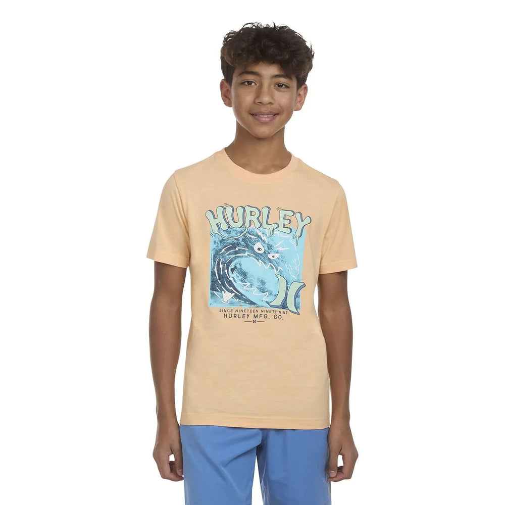 Hurley Boys Short Sleeve Graphic Tee - USA MEGA SHOP