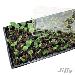 Jiffy 72 Cell Greenhouse Seed Starter Kit with 36mm Peat Pellets