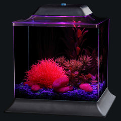 KollerCraft 1.5-Gallon Betta Fish Aquarium Kit