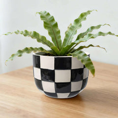 Mainstays Lennon Round Black Checkered Ceramic Planter