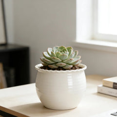 Mainstays Brooke Round Vanilla Dream 100% Recycled Resin Planter
