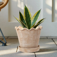 My Texas House 8 inch Ceramic Wave Planter