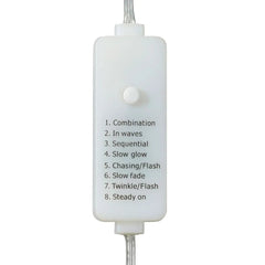 Member's Mark 120ct LED Frosted Berry Lights, 39.6' Lighted Length
