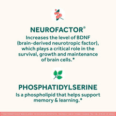 Neuriva Original Brain Health Supplement Capsules – 45 Count