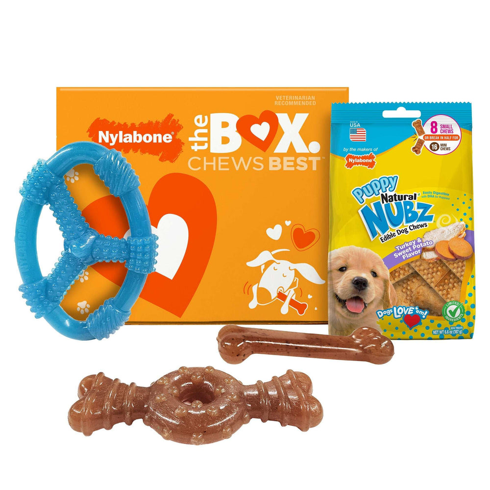 Nylabone Puppy Chew Toys and Small NUBZ Gift Box, 4-count - USA MEGA SHOP