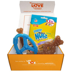 Nylabone Puppy Chew Toys and Small NUBZ Gift Box, 4-count - USA MEGA SHOP