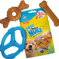 Nylabone Puppy Chew Toys and Small NUBZ Gift Box, 4-count - USA MEGA SHOP