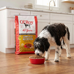 Roasted chicken & rice dry dog food bag with kibble bowl beside a standing black-and-white dog