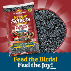 Pennington Recipe Selects Black Oil Sunflower Seed Dry Wild Bird Feed, Bird Food, 1 Pack