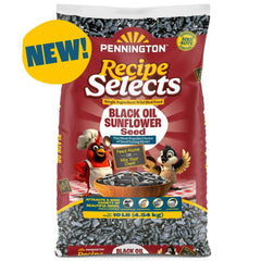 Pennington Recipe Selects Black Oil Sunflower Seed Dry Wild Bird Feed, Bird Food, 1 Pack