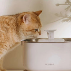 Petlibro Cordless Pet Water Fountain - USA MEGA SHOP