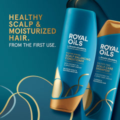 Royal Oils by Head & Shoulders Sulfate Free Scalp Care Shampoo and Moisture Renewal, All Hair Types, 12.8/13.5 fl oz