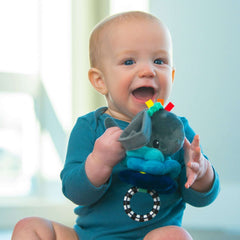 Sassy Wavy Whale Jitter Stroller Toy 0 Months and up Sensory Pull Down with Vibrating Upward Motion Car Seat Toy