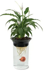 Penn Plax Aquaponic Betta Fish Plastic Tank, 0.5 Gallon