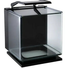 GloFish Betta Glass Aquarium Kit 3 Gallons, Includes LED Lighting and Filter