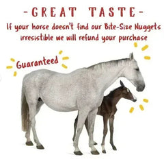 Manna Pro Bite-Size Apple Flavor Nuggets Treats for Horses 4lbs.