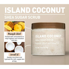 (3 pack) Shea Sugar Scrub, Island Coconut Scent, 18 oz